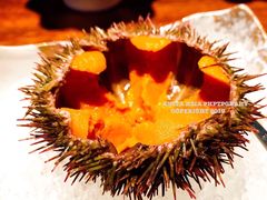 -桐寿司Sushi Tong