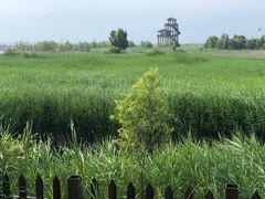 -野鸭湖国家湿地公园