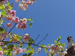 -利顺德大饭店·1863别致西餐厅(小白楼店)