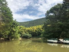 -宝岩生态观光园
