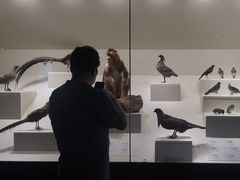 -四川大学博物馆