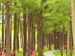 -森波拉奇妙世界