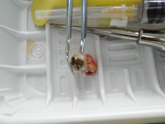 -上海市杨浦区牙病防治所