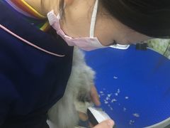 -瑞鹏宠物医院·微创内窥镜·骨外科·牙科(翠竹分院)