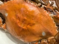 -北塘海鲜·天津菜(大光明桥旗舰店)
