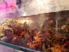 -二钳洞庭虾蟹·江湖菜(成都鹭岛店)