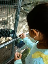 -萌宠亲子动物乐园(槐房万达店)