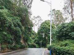 -火炉山森林公园
