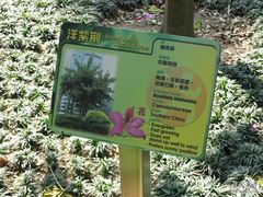 -九龙公园