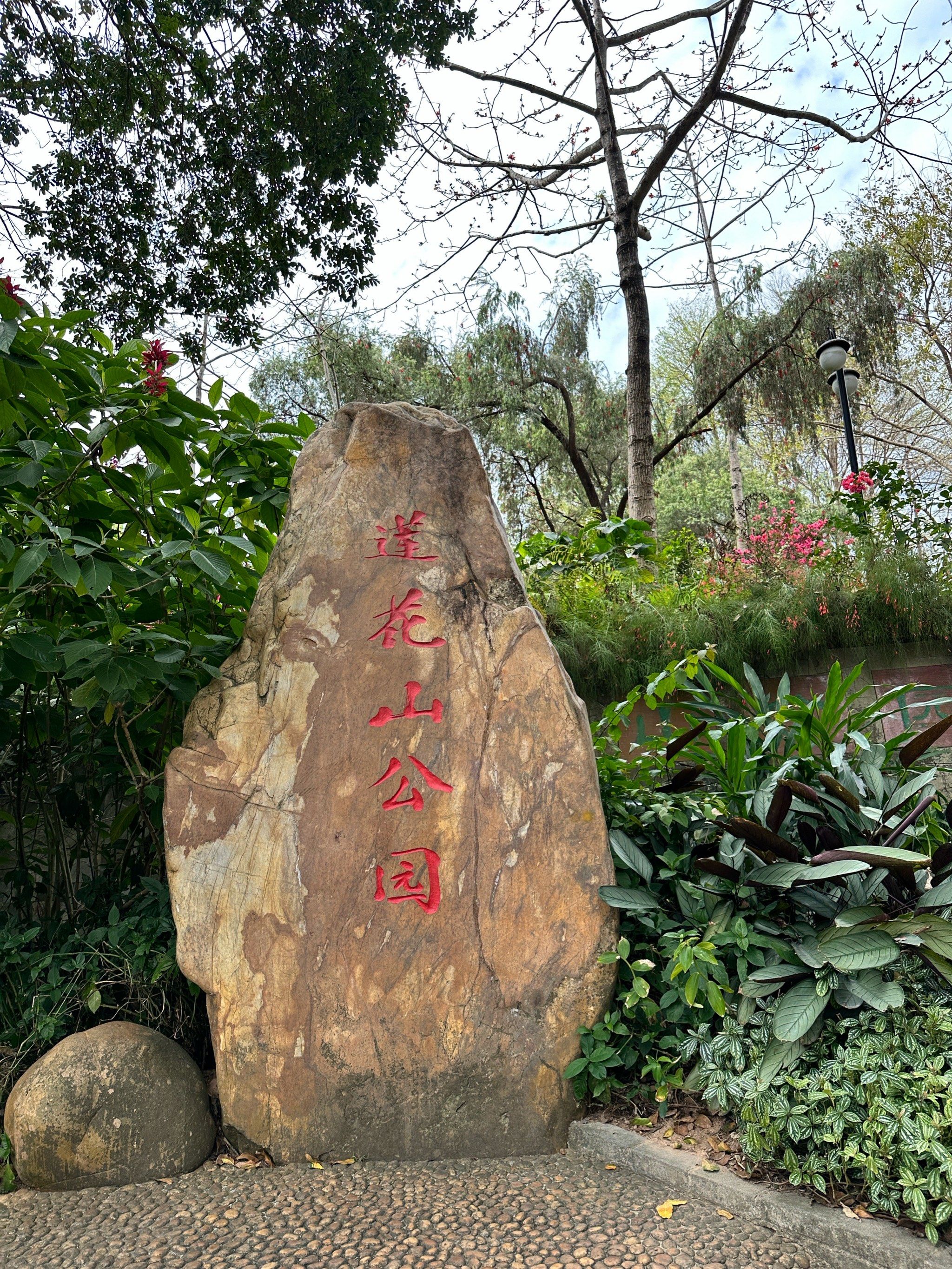 深圳之旅:打卡莲花山公园,感受春的气息