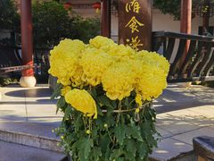 -小榄公饭店·岭南庭院餐厅(民安北路店)