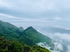 -武陵山森林公园