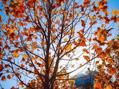 -渭河城市绿地运动公园