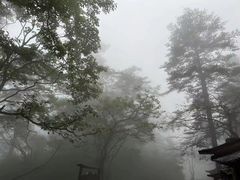 -峨眉山风景名胜区