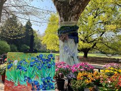 -上海共青森林公园