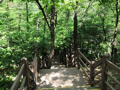 -沂蒙山旅游区云蒙景区(蒙山国家森林公园)