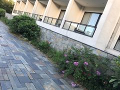 -苏州环秀晓筑养生度假村