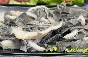 Boiled Beef Tripe