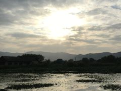 -长兴太湖图影湿地文化园