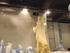 -大连圣亚海洋世界