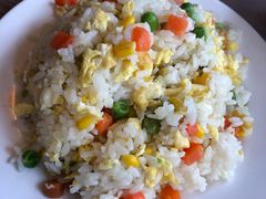 -绿野餐厅(上海动物园店)