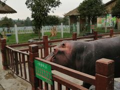 -贵州森林野生动物园