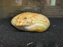 -Zoolung Zoolung动物主题公园(海信广场店)