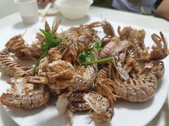 -人和啤酒屋海鲜大排档(营口路店)