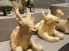 -广西壮族自治区博物馆