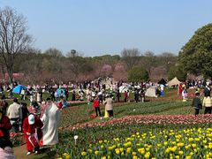-凤凰沟景区
