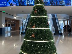 -深圳湾万象城(南山店)