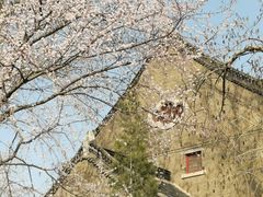 -山东大学(趵突泉校区)