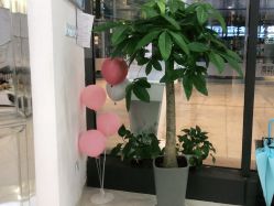 -痘敏医生专业祛痘·肌肤修复连锁