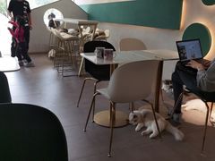 -飞行喵MR PILOT|猫舍·猫咖(静安大融城店)