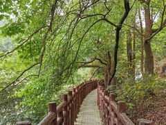 -广州市石门国家森林公园