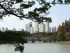 -江心屿景区