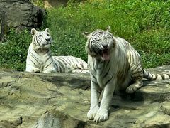 -杭州野生动物世界