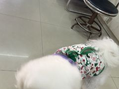 -酷狗靓猫宠物·洗护·美容·寄养(航北路店)
