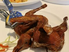 乳鸽-金苑海鲜酒家(来魅力店)