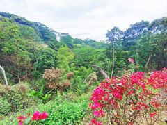 -阳台山森林公园