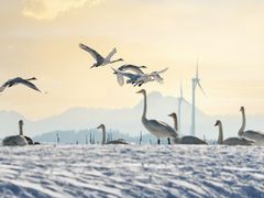 -石岛赤山风景区