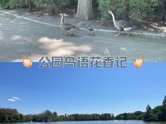 -翠湖国家城市湿地公园