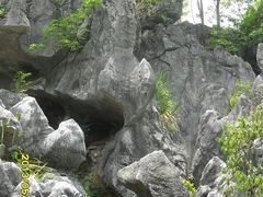 -千岛湖石林