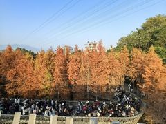 -梅峰山地公园