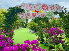 -沂蒙云瀑洞天景区