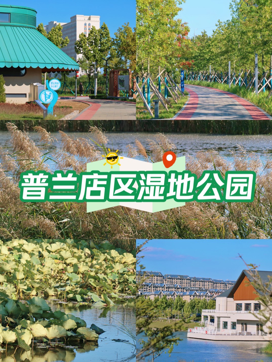 普兰店区湿地公园图片