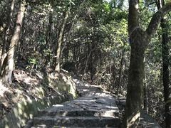 -东莞市大岭山森林公园