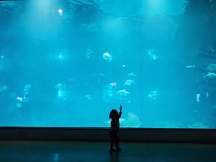 -福州罗源湾海洋世界旅游区