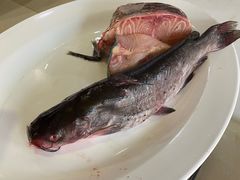 -老刘生态大鱼坊铁锅炖鱼(赛马场店)