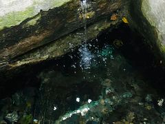 -香山公园
